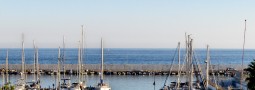 Marbella: Puerto Pesquero
